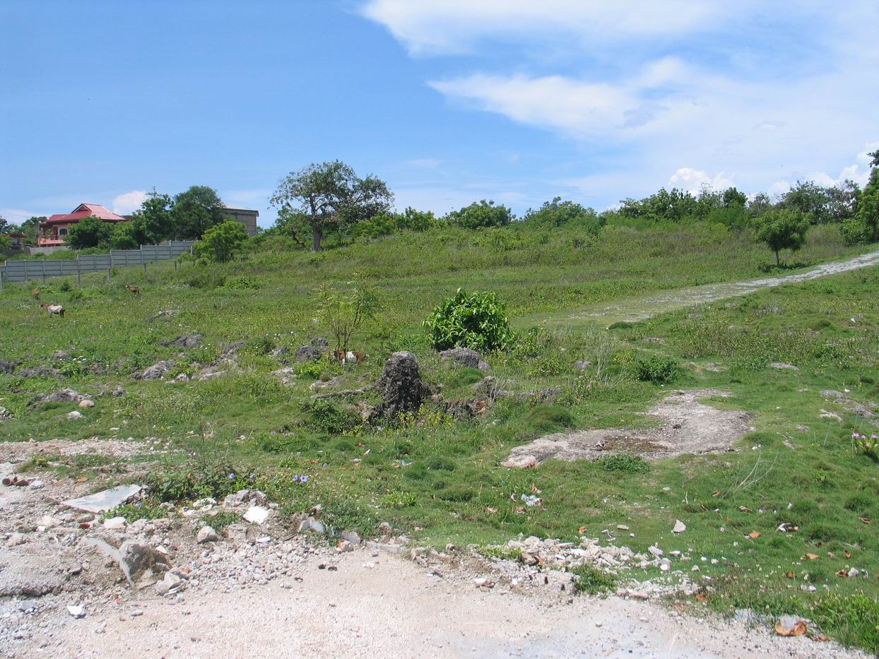 Mactan Real Estate Beach Lot for Sale in Baranggay Punta Engano
