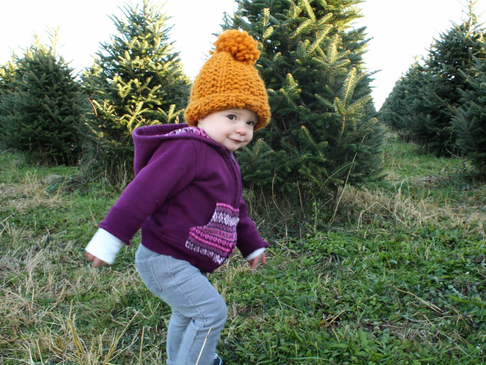 Hoping For Rocketships Christmas Tree Hunting