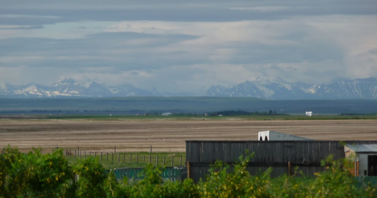 Seiler's Sagas Granum Alberta