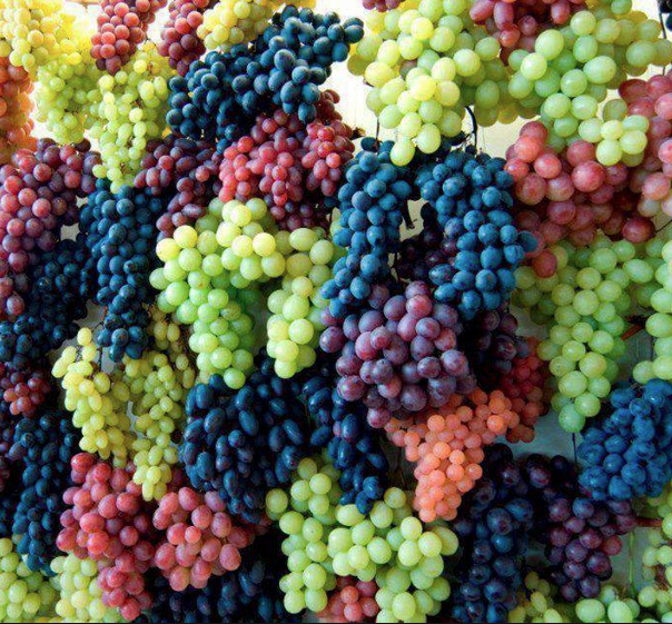 PEYGAMBERİMİZİN s.a.v. ÜZÜM YEMESİ | Netkale