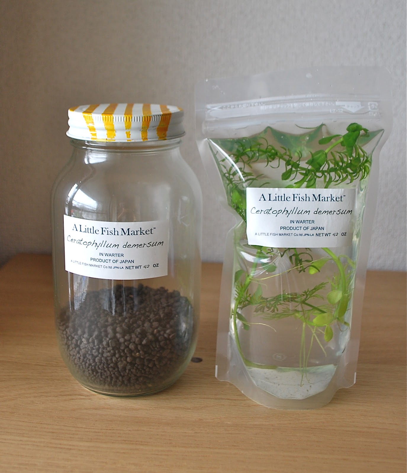 LFM product/ bottle aquarium set a little fish market