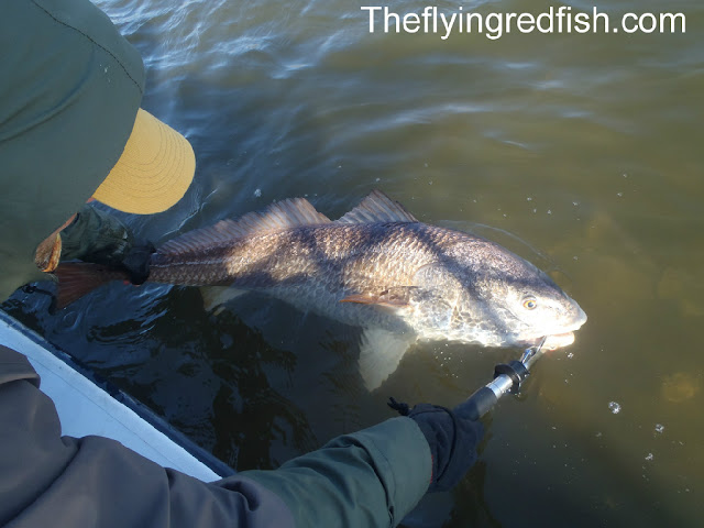 Redfish Bogagrip