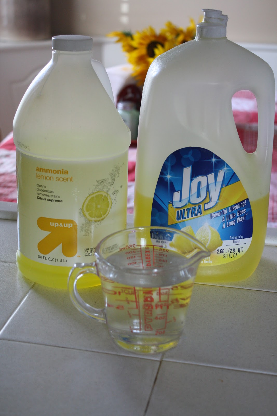 Sunny Simple Life Homemade Laundry Stain Remover
