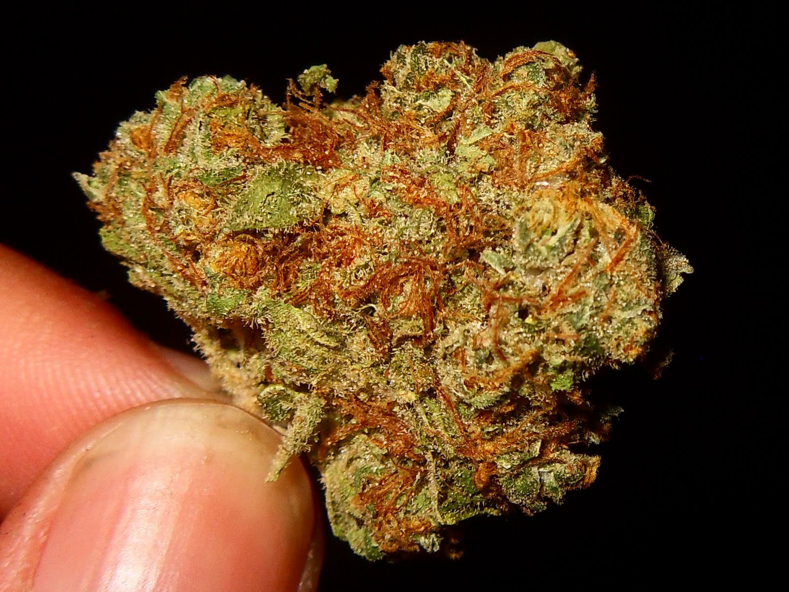 The Herban Legend Grape Kush