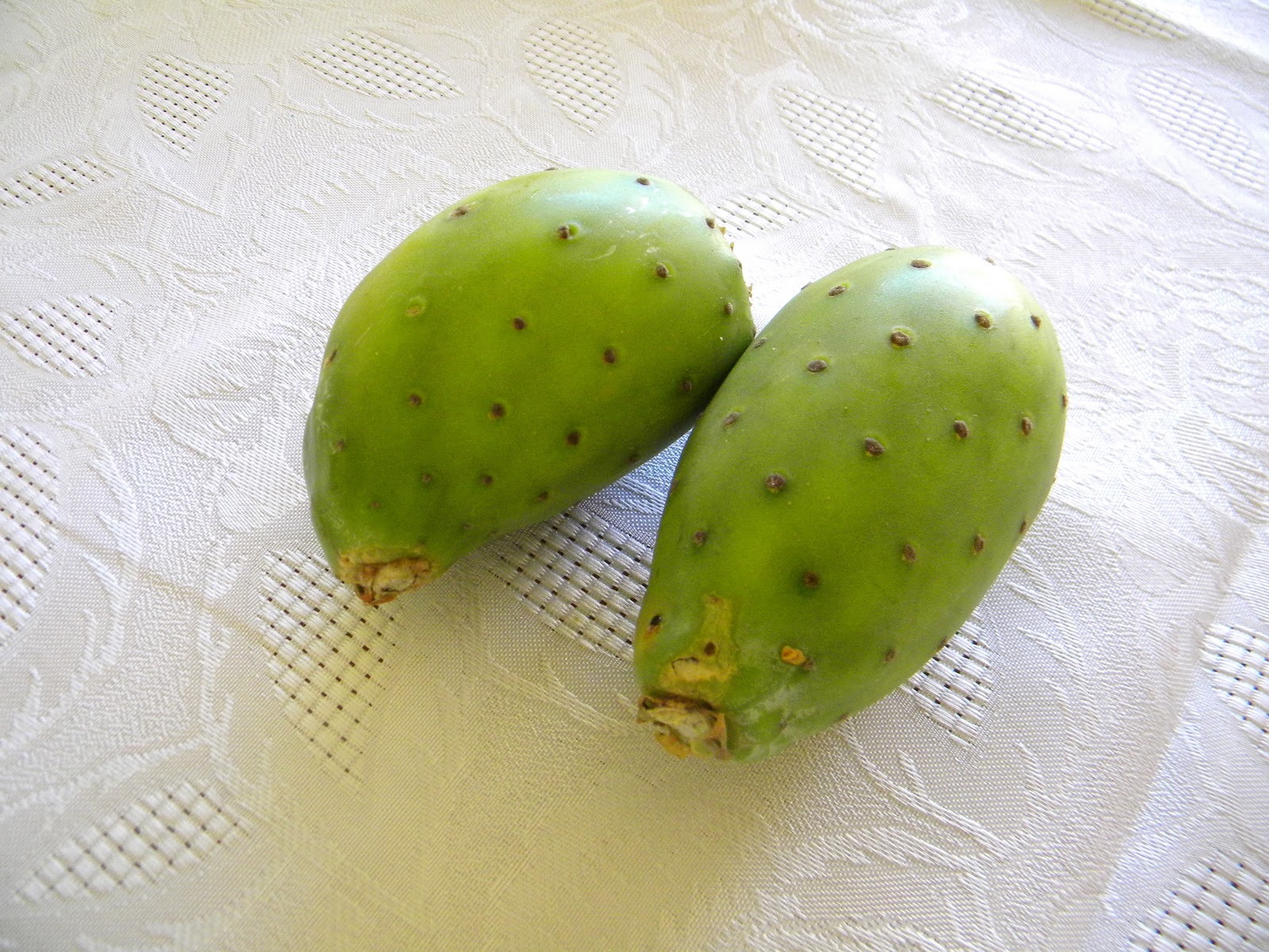 Andrew in South Africa Prickly Pears