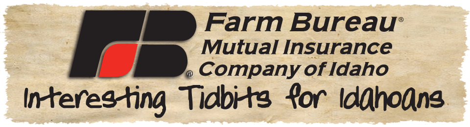 Farm Bureau Mutual Insurance <br> Company of Idaho