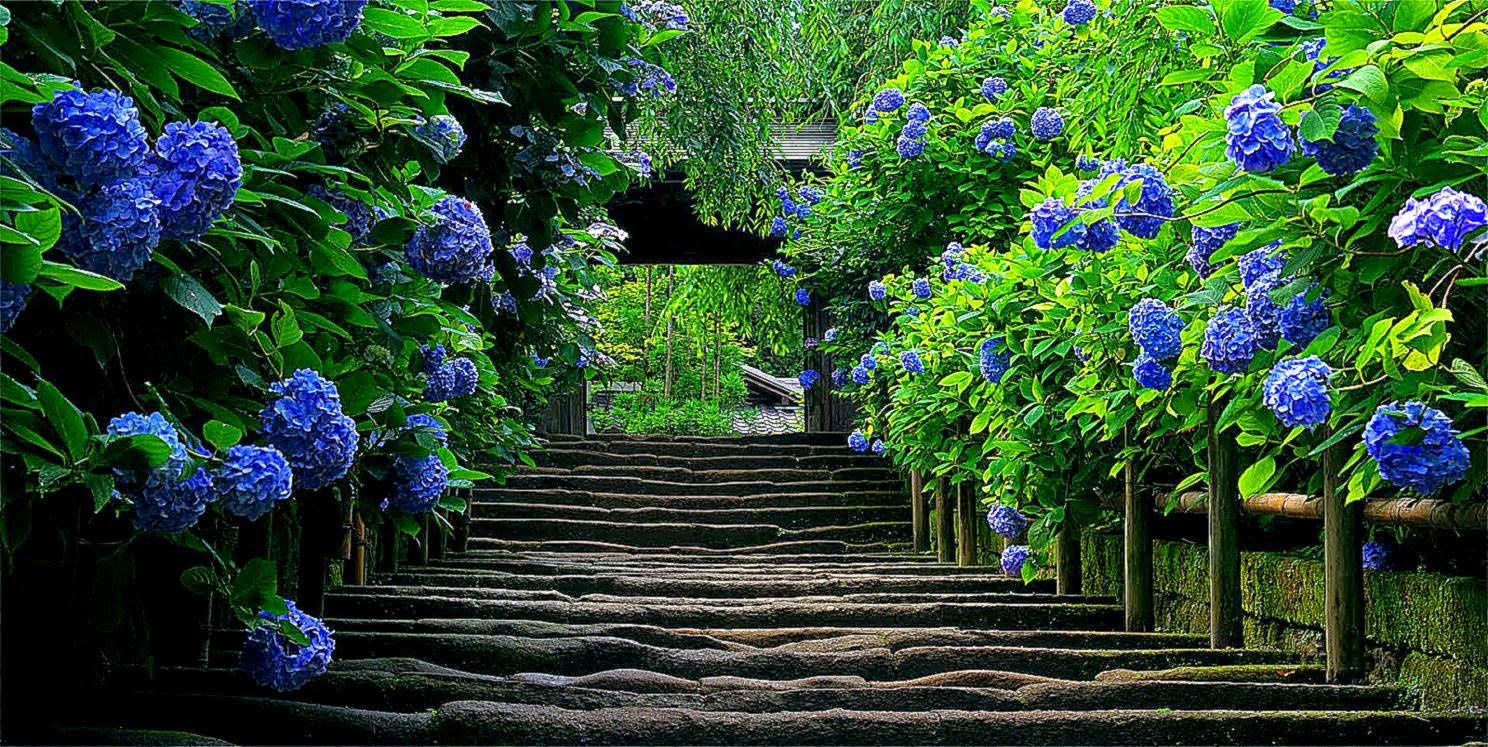 Free Desktop Wallpaper Nature Scenes Wallsaved Free Desktop Wallpaper Nature Scenes Wallsaved
