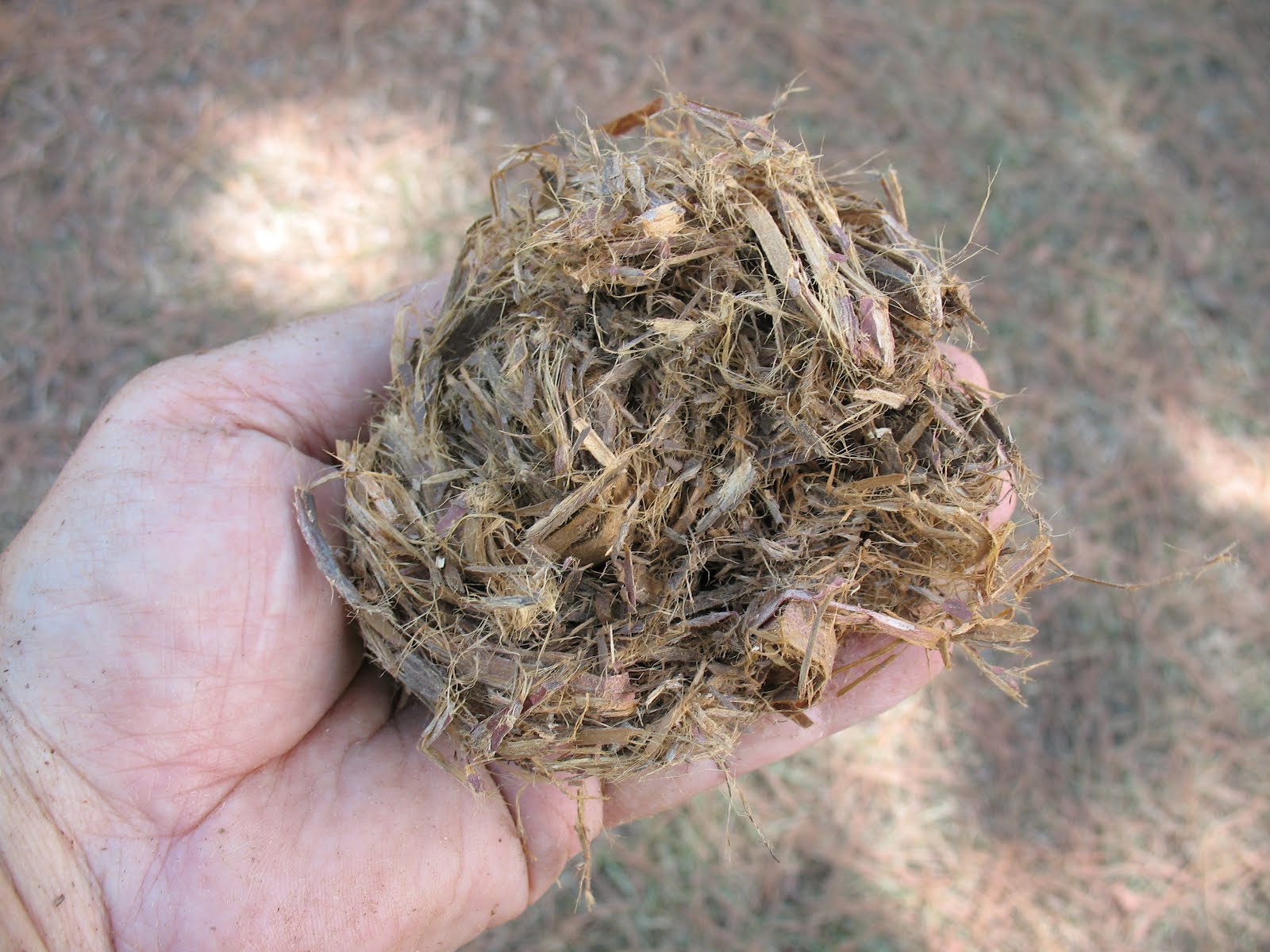 Sensible Survival Start a Fire with the Bow and Drill Part 1