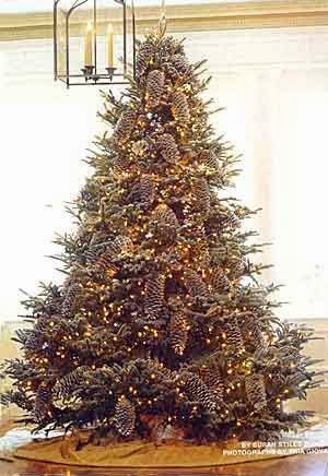 anyway here are some beautiful christmas trees first and after for fun some really bad christmas trees - Ugly Christmas Trees anyway here are some beautiful christmas trees first and after for fun some really bad christmas trees - Ugly Christmas Trees