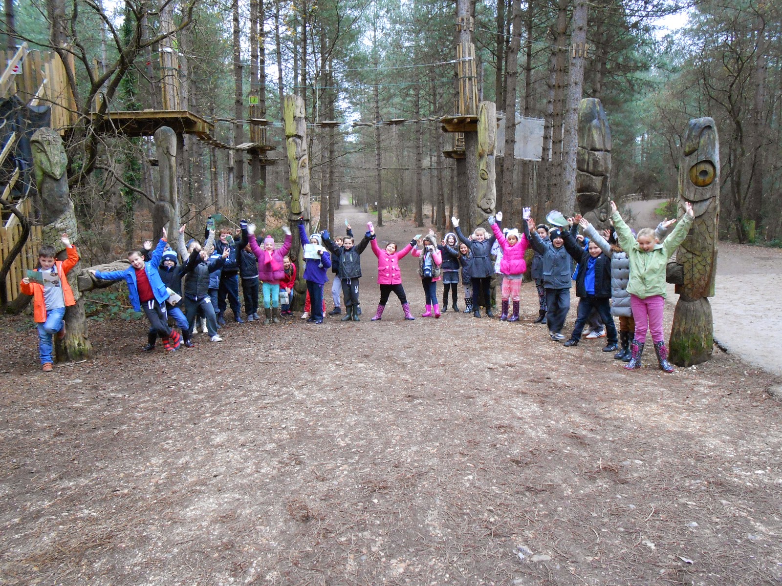 meon junior school on school outing pine forest forestry commission