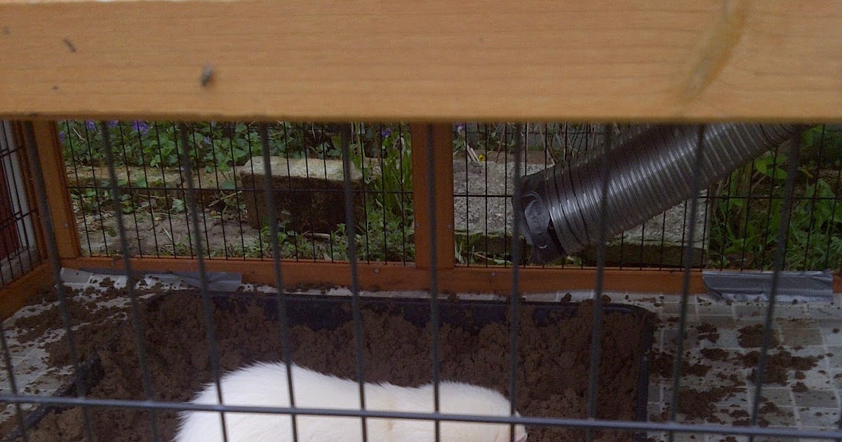 Ferret Dook Dig boxes.