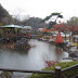 262/1000 松ヶ岡公園(福島県いわき市)
