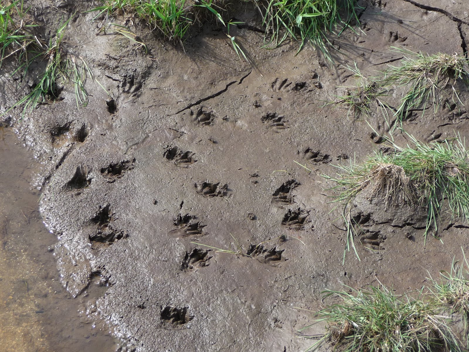 Creative writing stimulus for year 6 picture