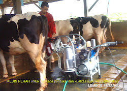 Lemboe Pasang Dairy Farm