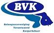 BVK