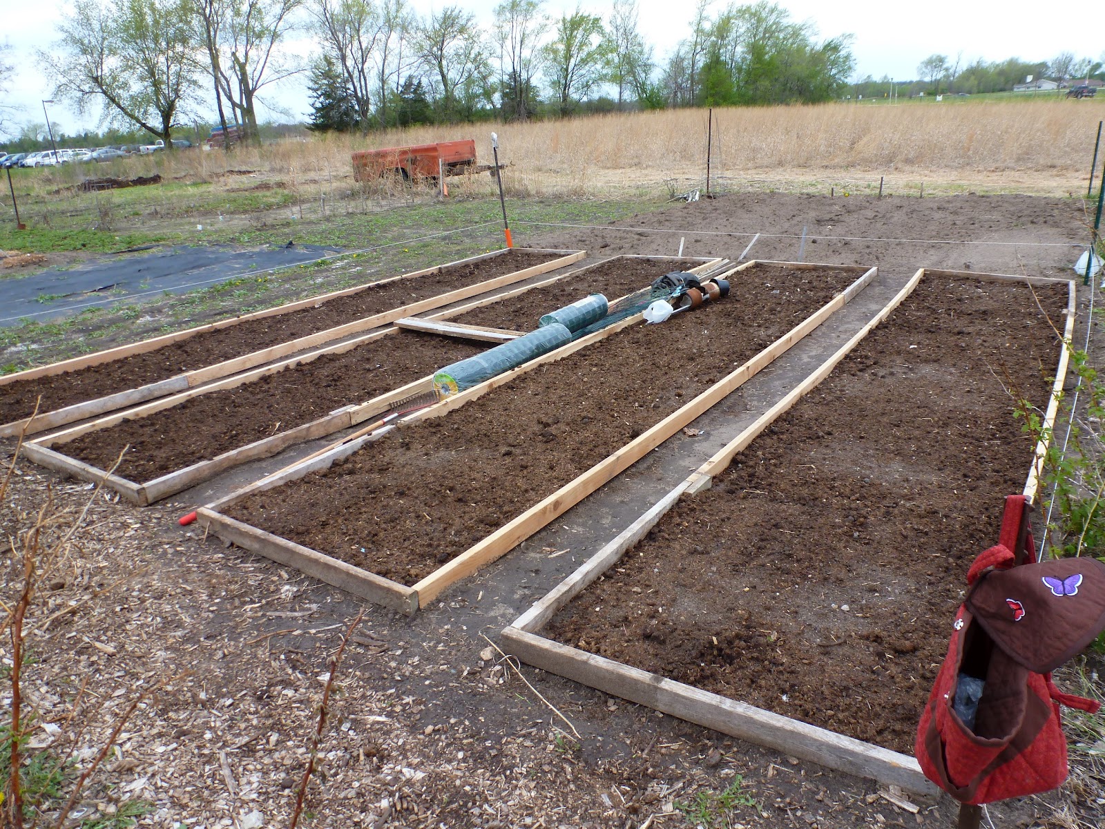 Anita's Health Blog Garden Plot