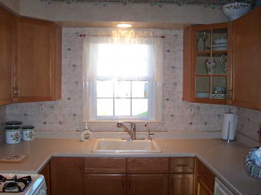 Small Kitchen Remodeling