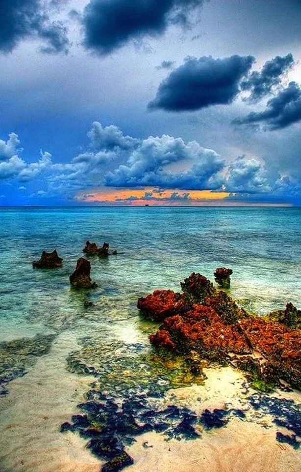 Cayman Island Reef, Grand Caymans