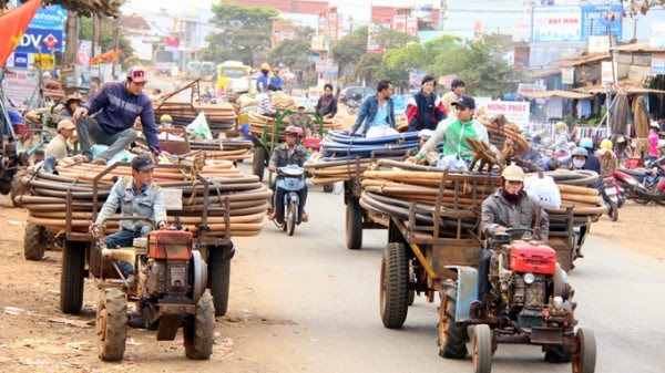Mùa tưới cà phê