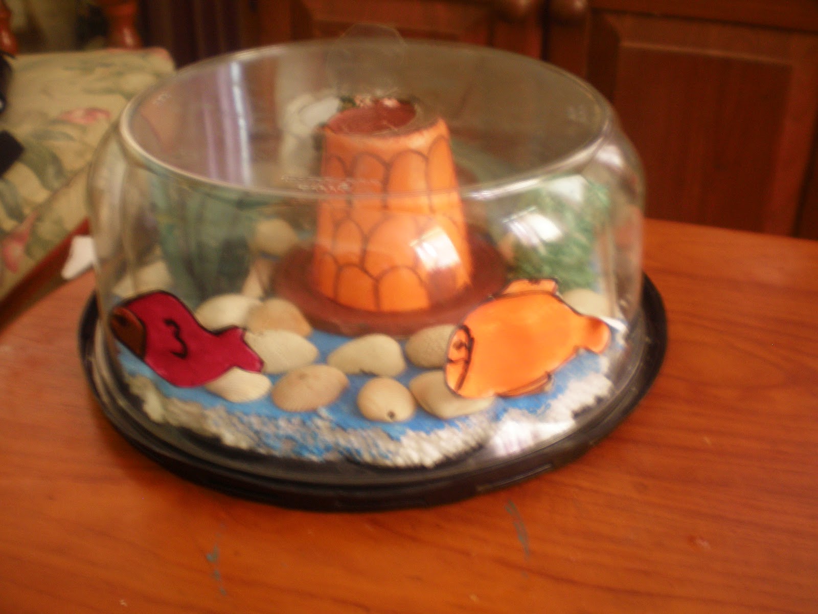 A Teacher's Idea Upcycle Your Plastic Cake Containers!