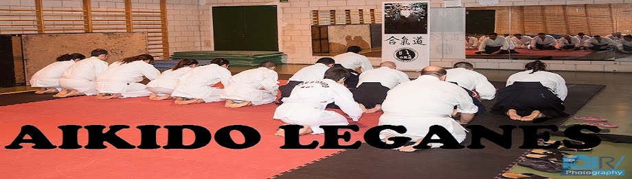 Aikido Leganés Banner