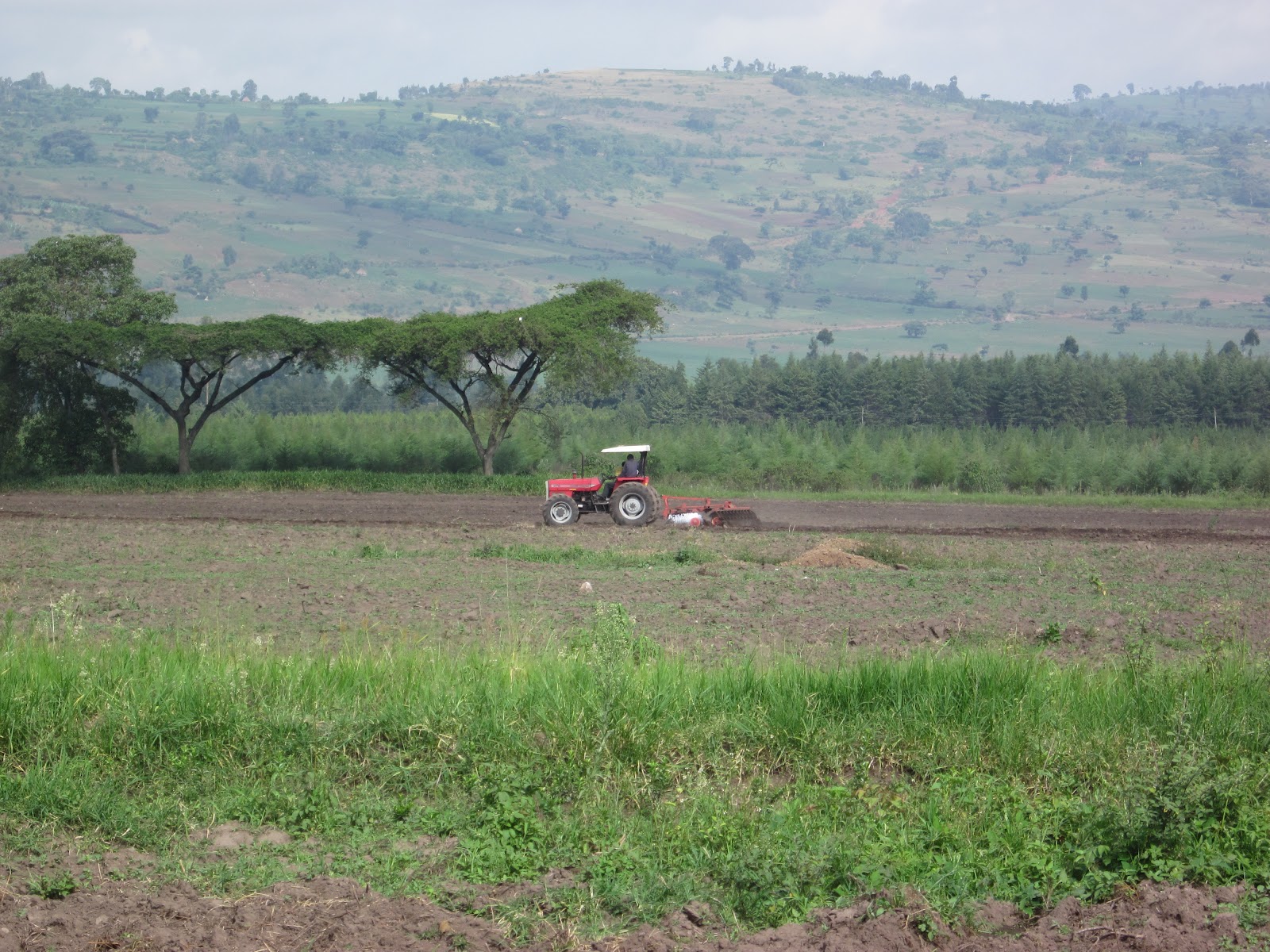 “The important thing is not to stop questioning.” Yieldscaled direct