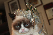 எனக்கு ரொம்பவே சந்தேகமாக இருக்குஎலேய் . (new years grumpy cat)