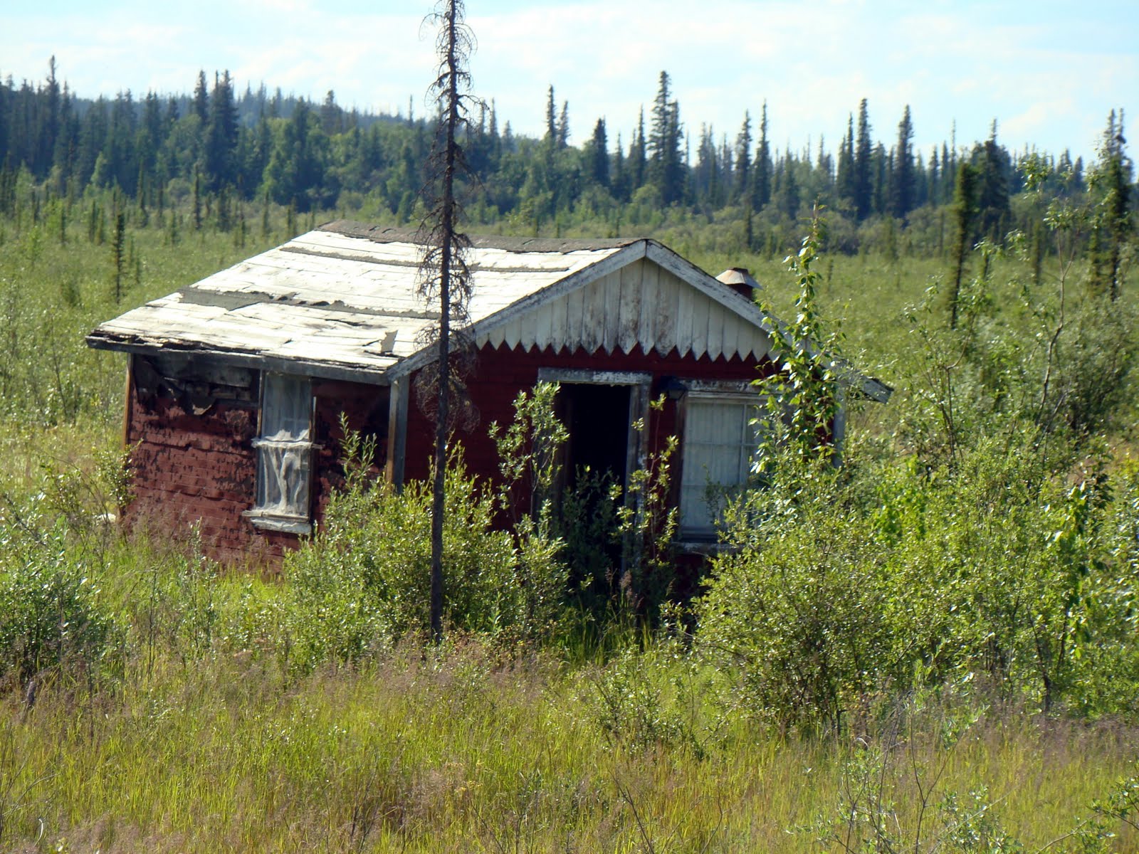 The Arctic Jeep Expedition Sunday, July 10th Haines Junction, Yukon