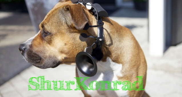 Dog with Microphone small wb No-More-Woof perros piensan aparato micro informatica ShurKonrad 4