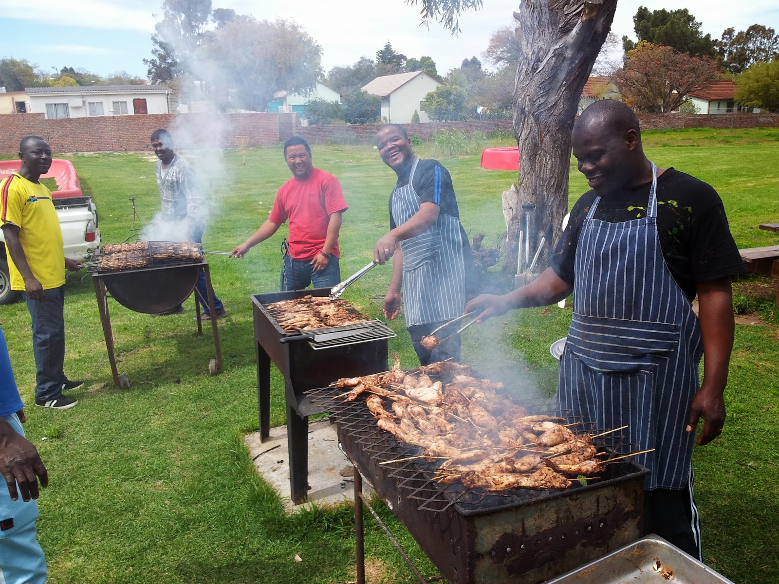 Image result for braai south africa