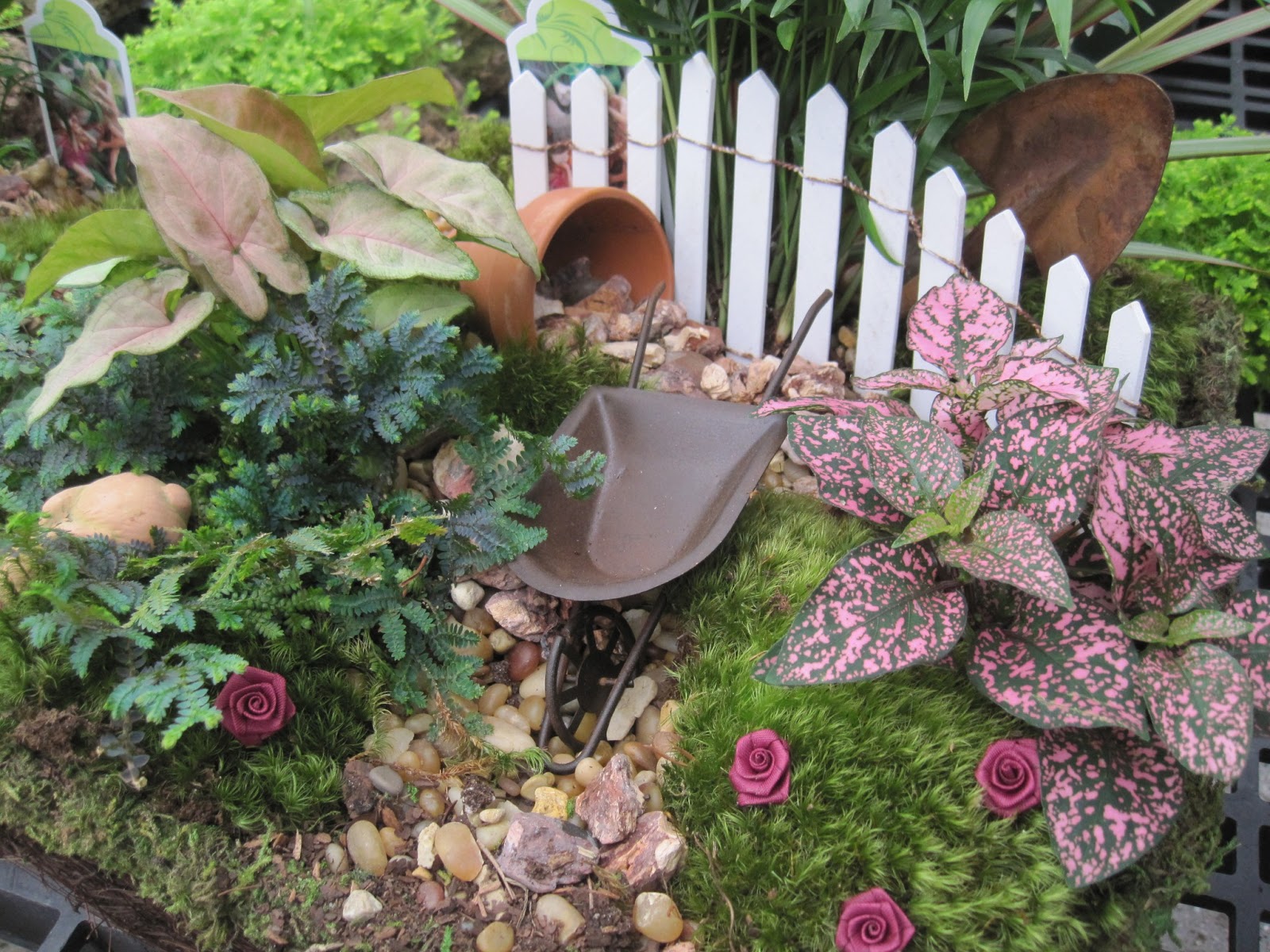 Plants, Flowers and Such Fairy Gardening