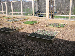 2pm... more raised beds are covered.