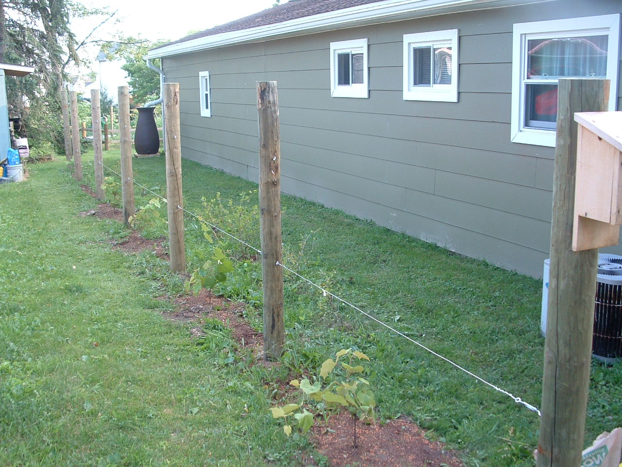 Ohio Microfarm: Finishing the new grape trellis