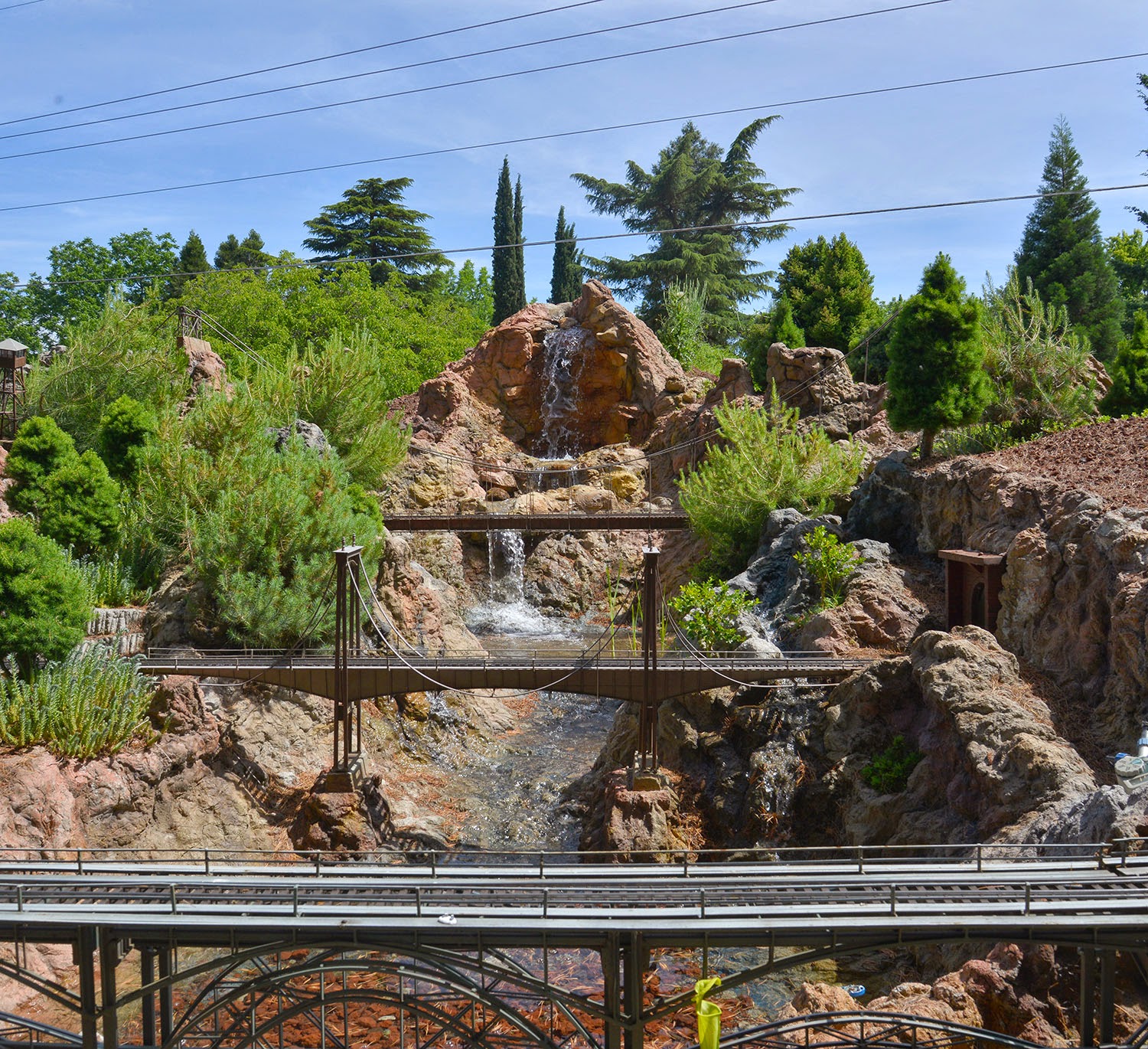 Medford Railroad Park lightinleaves