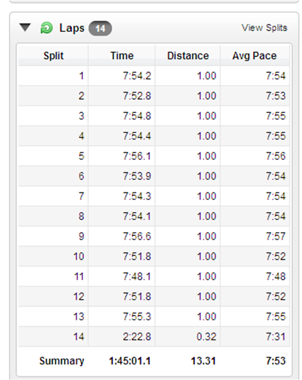 Running and Triing for the Win(e) My first time as a pacer