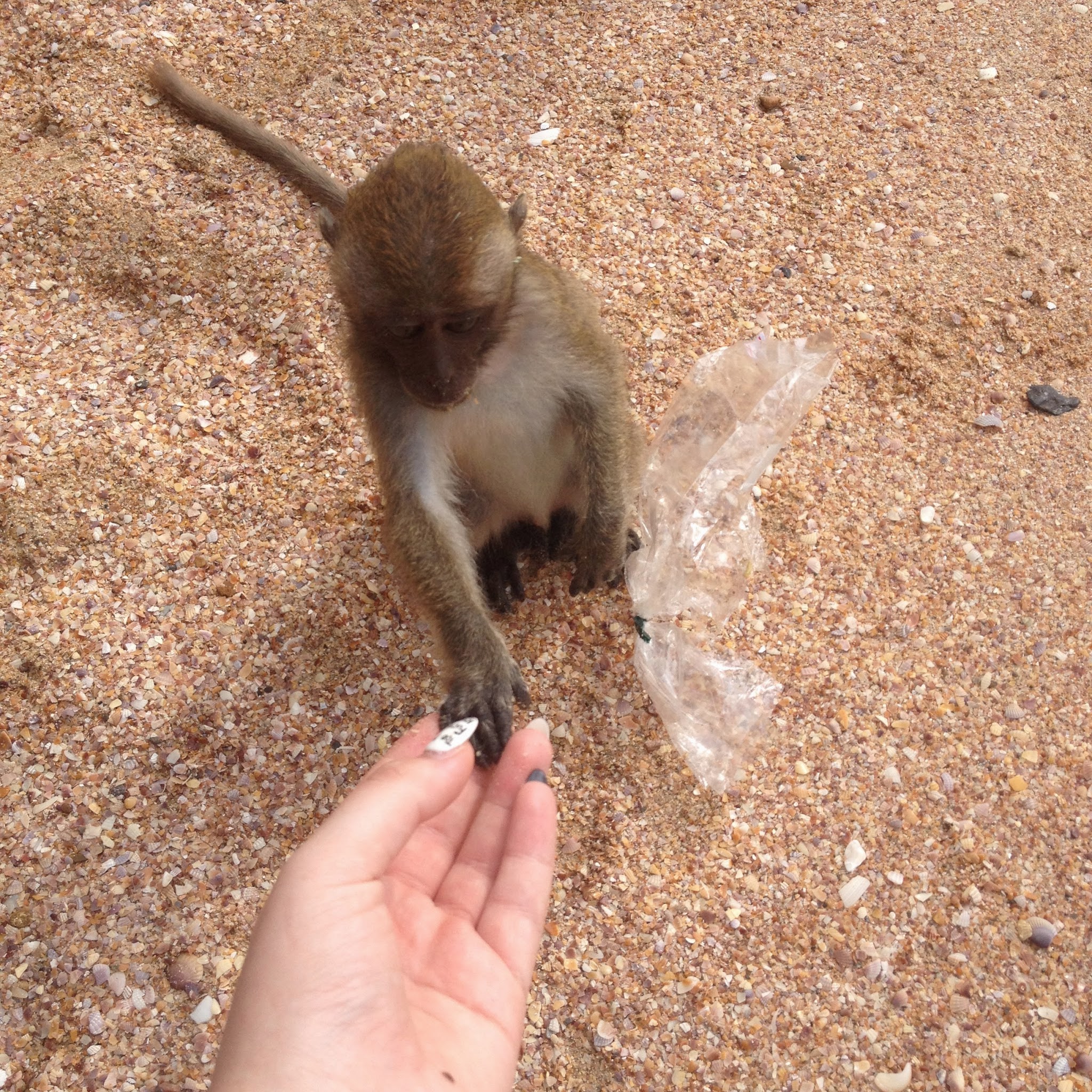 Tajlandia - wyspa Bonda