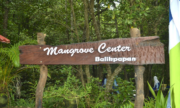 Hutan Mangrove Center Kariangau Graha Indah Balikpapan Kalimantan Timur
