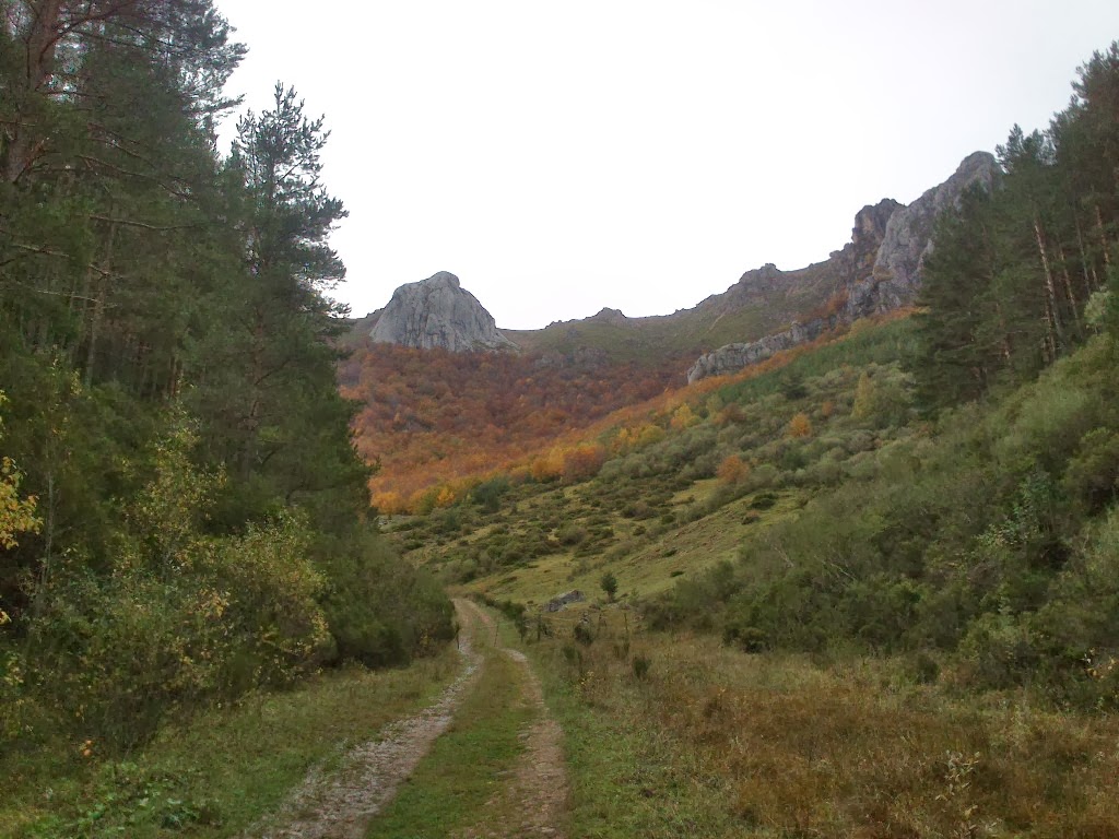 DSC_0034.jpg