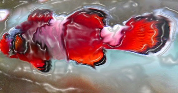 dejtingsida för gifta eller sambos efternamn