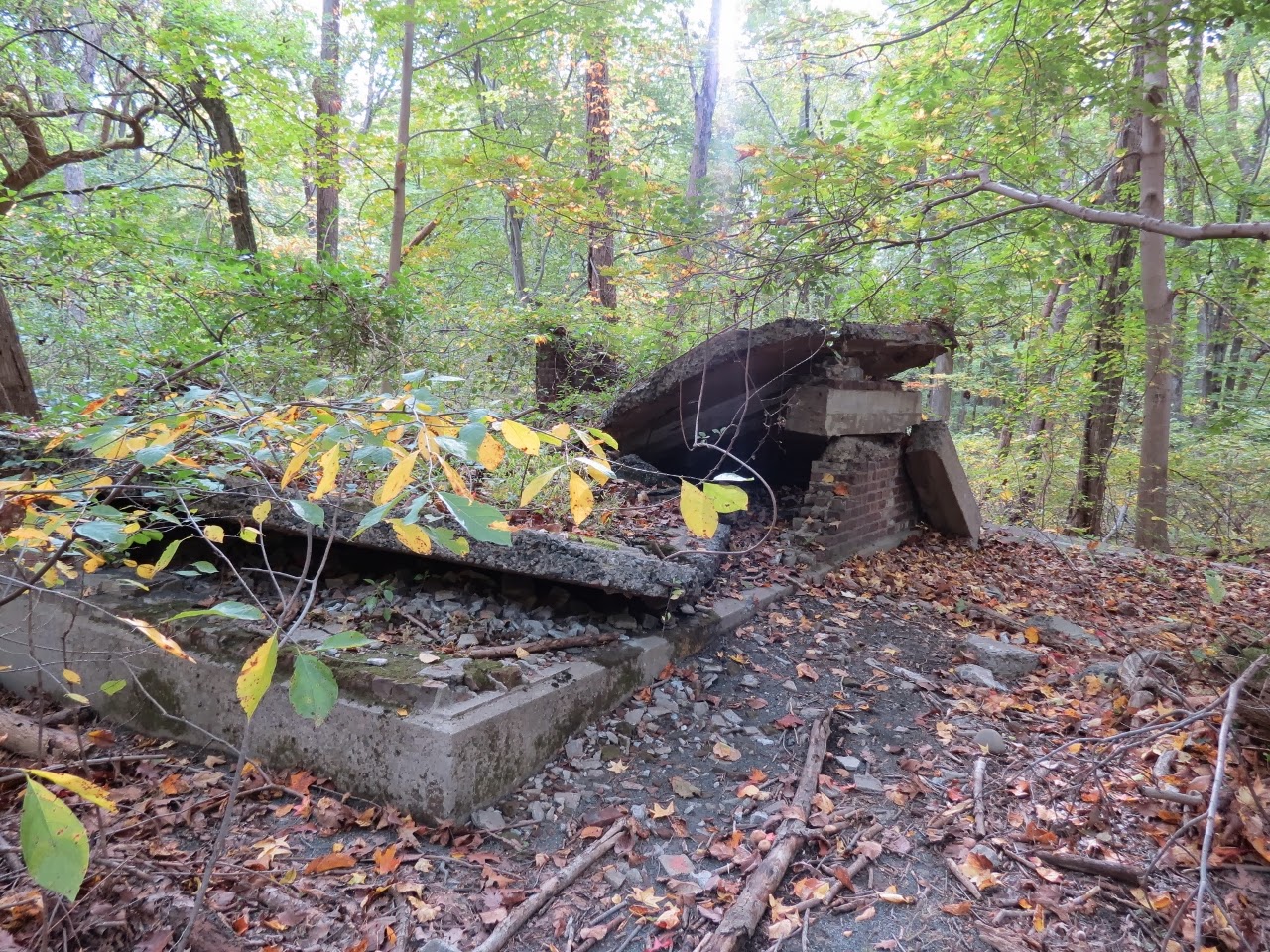 Gone Hikin' Tallman Mountain State Park, NY