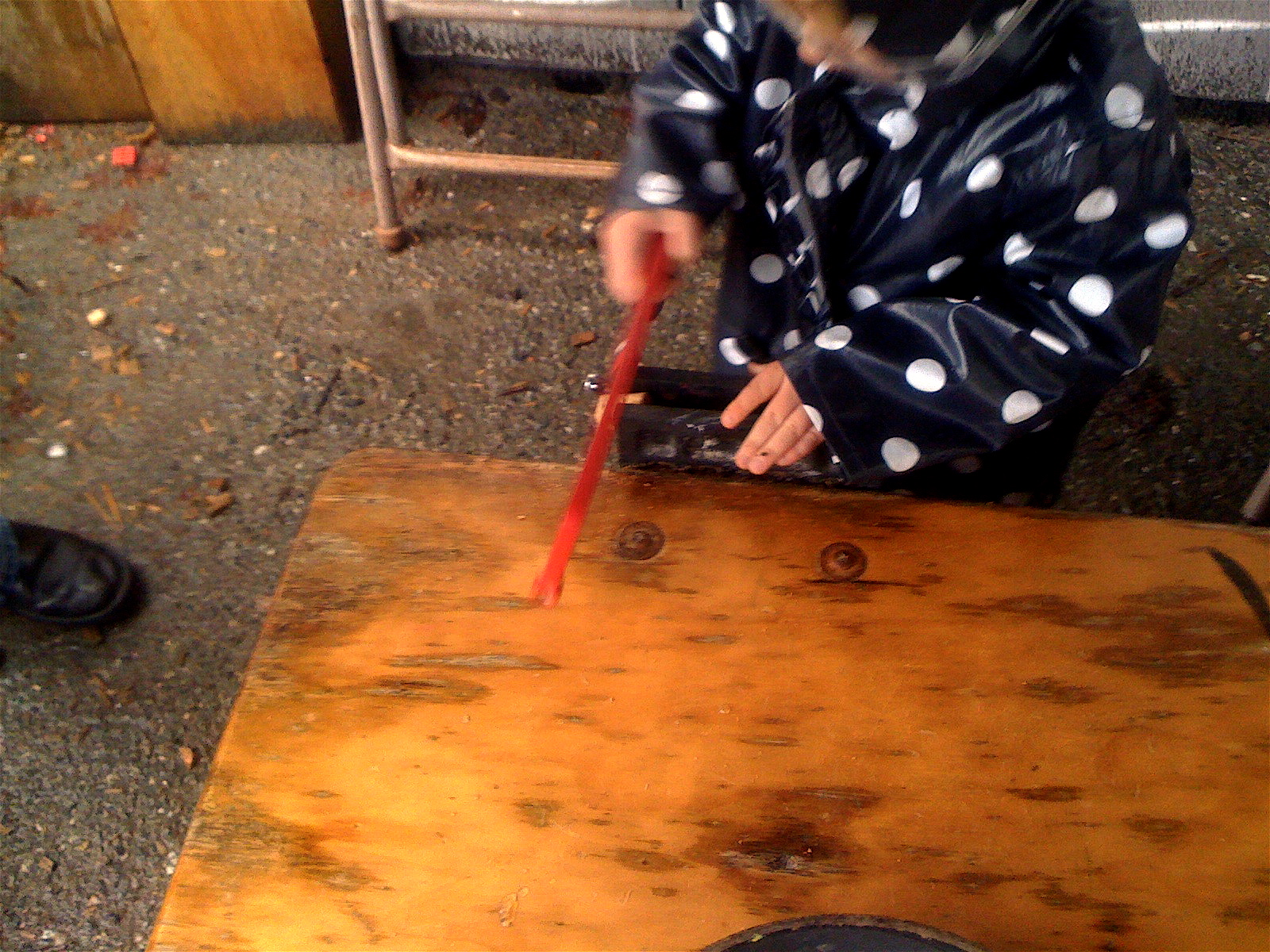 north seattle community college clothing