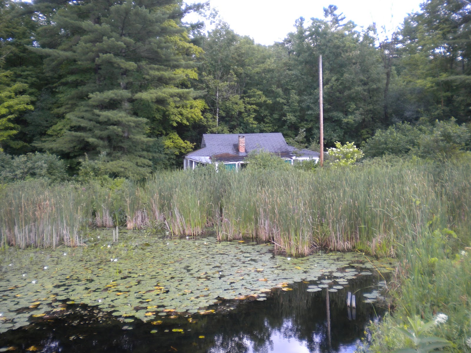 TearDropHouses A Vanishing at Lake Hortonia, Sudbury, Vermont