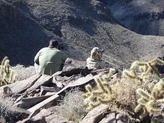 Bob+Rice+AZ+Unit+15D+Desert+Sheep+Hunt+with+Colburn+and+Scott+Outfitters+and+Guide+Russ+Jacoby+6.JPG