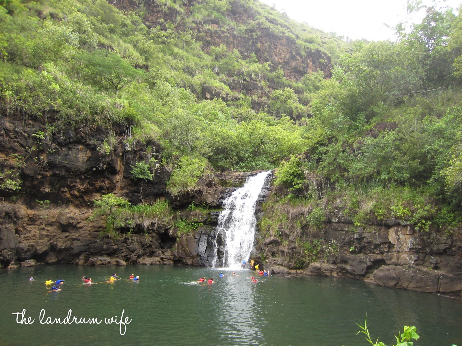 And Drink the Wild Air Getting to Know Hawaii Waimea Valley