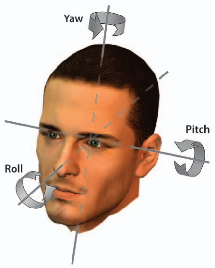 Head Pose Estimation In Computer Vision A Survey Pdf