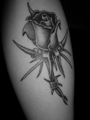 The Black rose 
