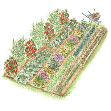 Huerto Urbano: Ideas para diseñar un huerto