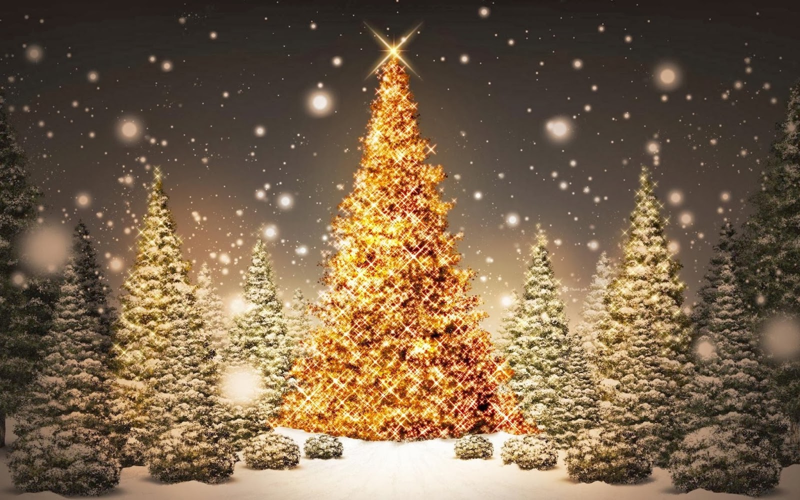 orthodox christmas day images orthodox christmas day in orthodox christmas day images orthodox christmas day in
