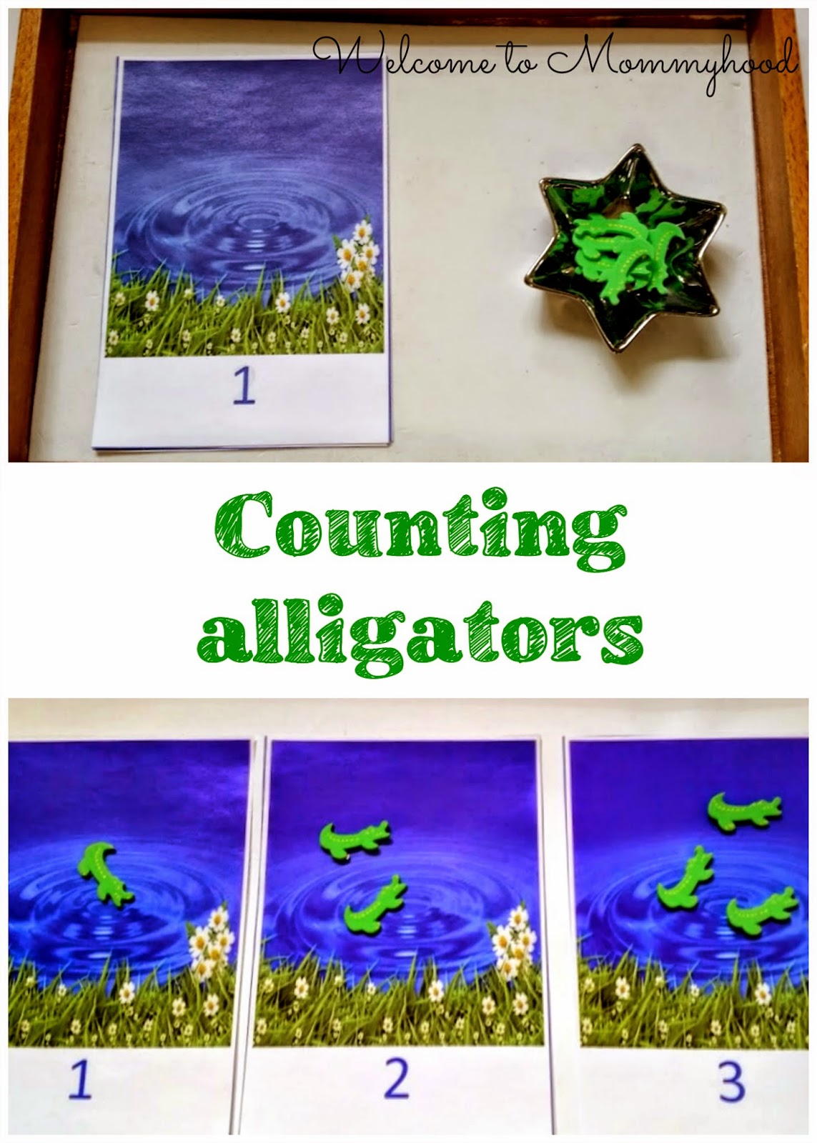 Welcome to Mommyhood: Alligator themed toddler and preschool activities