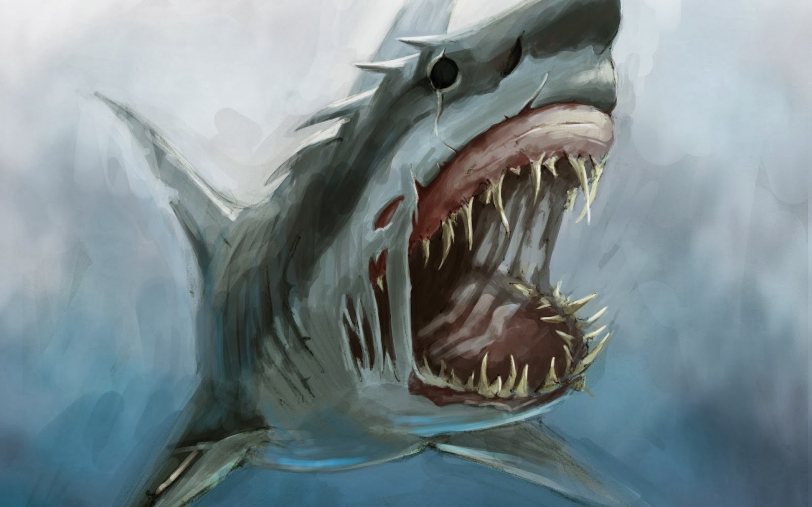 Amazoncom: shark
